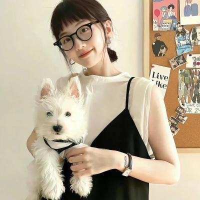 博斯:传承第二季